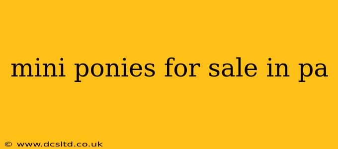 mini ponies for sale in pa