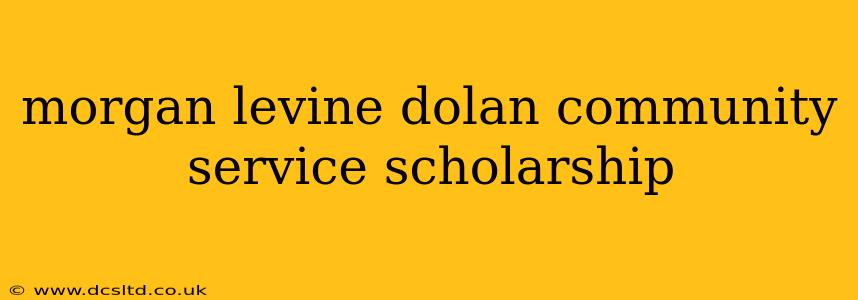 morgan levine dolan community service scholarship