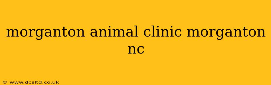 morganton animal clinic morganton nc