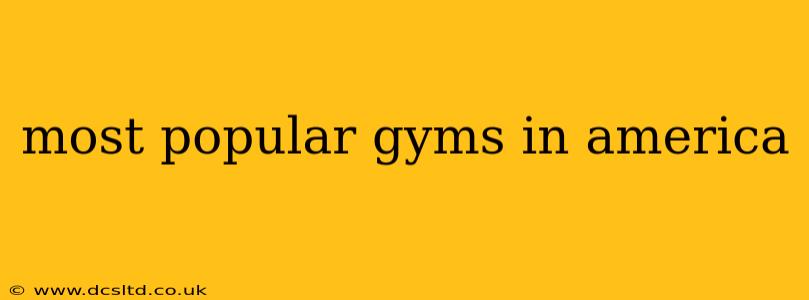most popular gyms in america