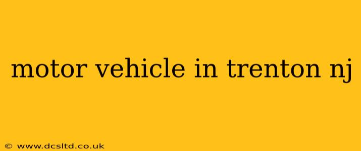 motor vehicle in trenton nj