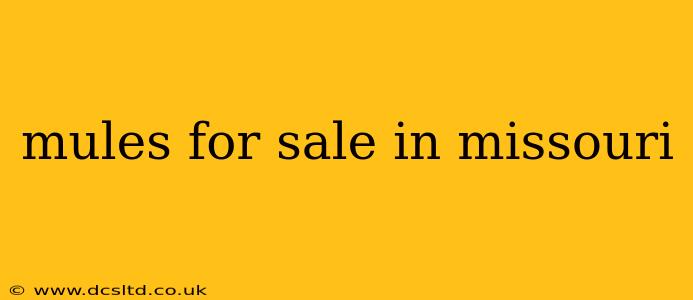 mules for sale in missouri