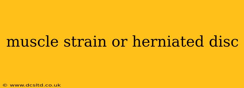 muscle strain or herniated disc