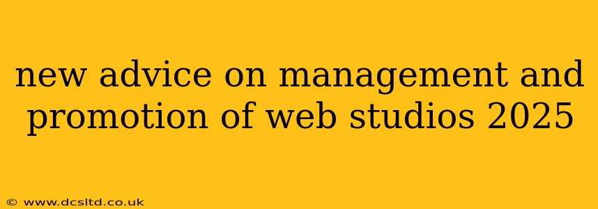new advice on management and promotion of web studios 2025
