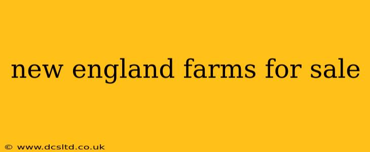 new england farms for sale