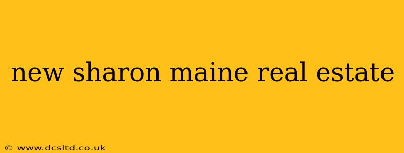 new sharon maine real estate