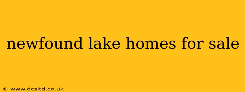 newfound lake homes for sale