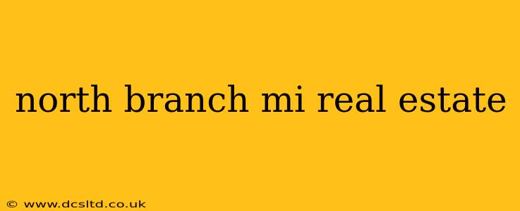 north branch mi real estate