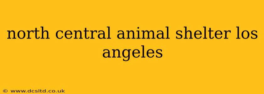 north central animal shelter los angeles