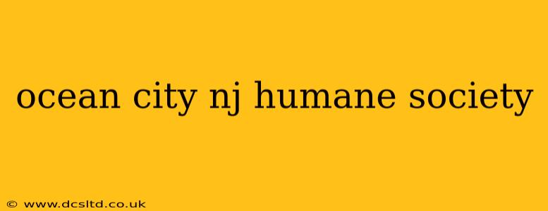 ocean city nj humane society