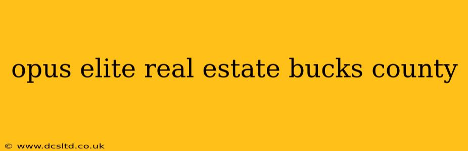 opus elite real estate bucks county