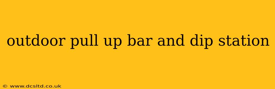 outdoor pull up bar and dip station