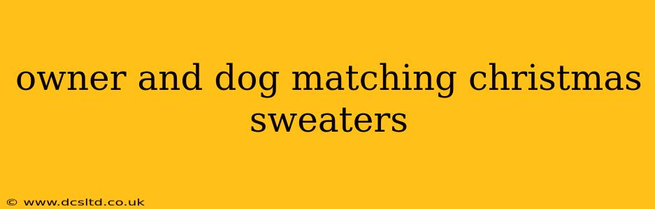 owner and dog matching christmas sweaters