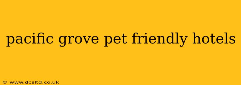pacific grove pet friendly hotels