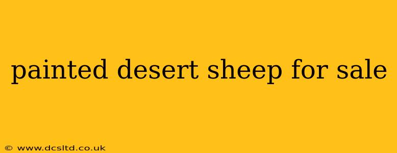 painted desert sheep for sale