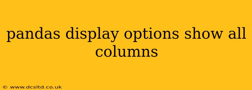 pandas display options show all columns