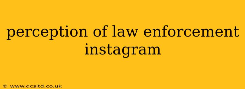 perception of law enforcement instagram