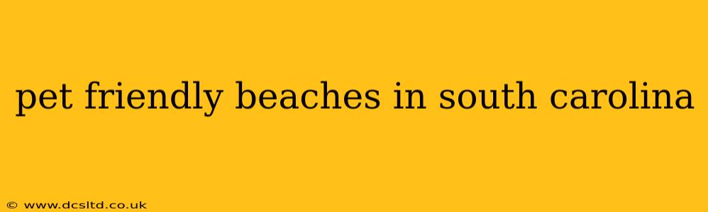 pet friendly beaches in south carolina