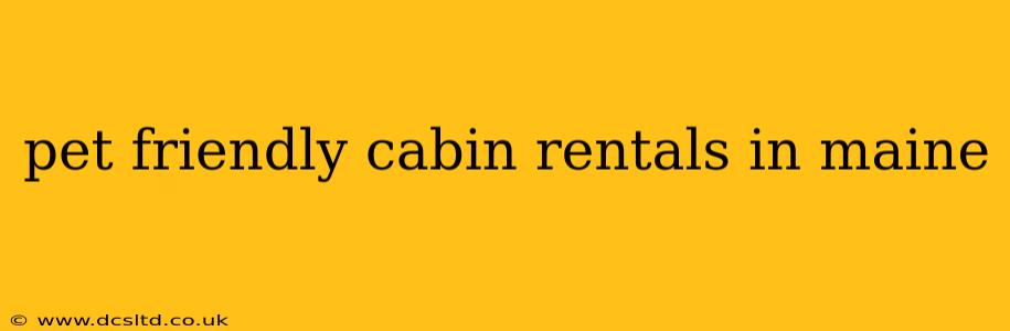 pet friendly cabin rentals in maine