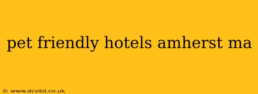 pet friendly hotels amherst ma