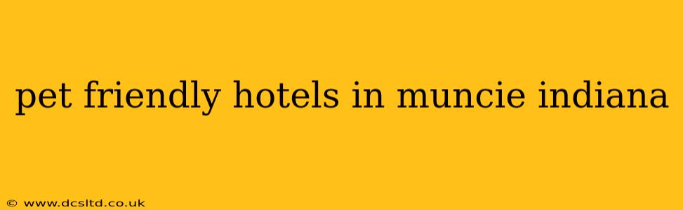 pet friendly hotels in muncie indiana