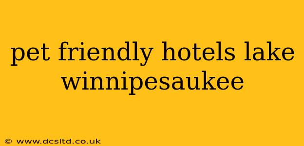 pet friendly hotels lake winnipesaukee