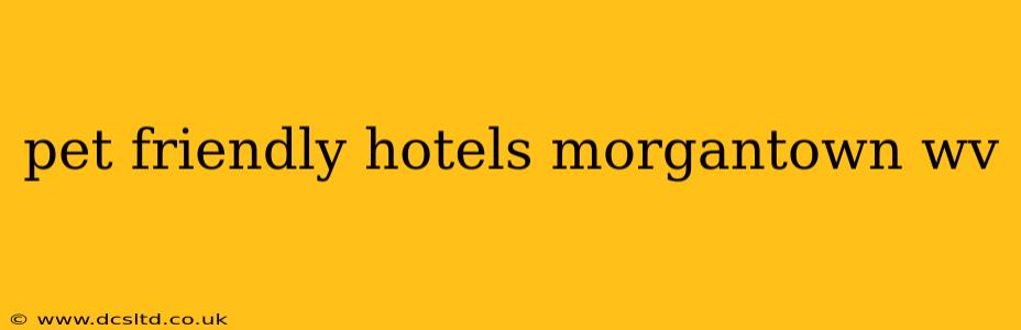 pet friendly hotels morgantown wv