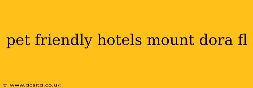 pet friendly hotels mount dora fl