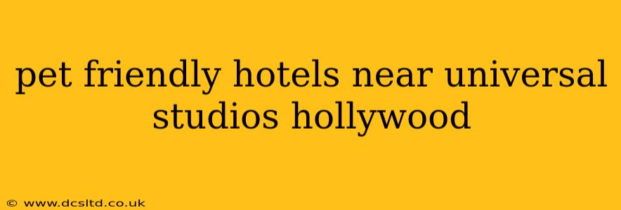 pet friendly hotels near universal studios hollywood