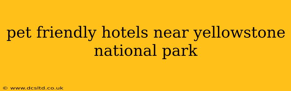 pet friendly hotels near yellowstone national park