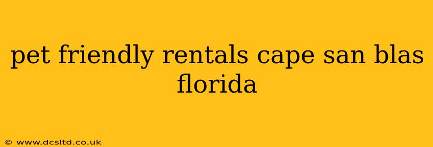 pet friendly rentals cape san blas florida