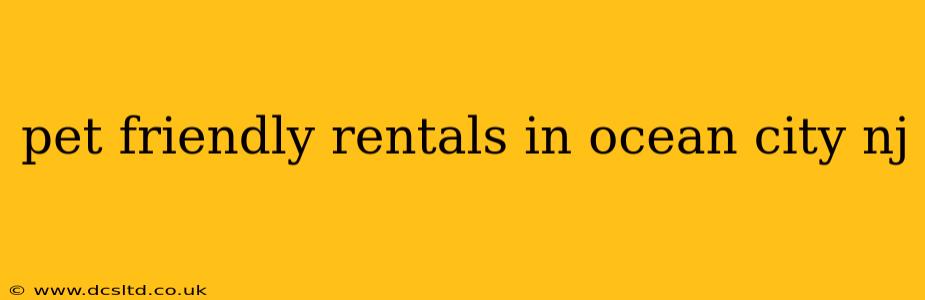 pet friendly rentals in ocean city nj