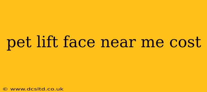 pet lift face near me cost