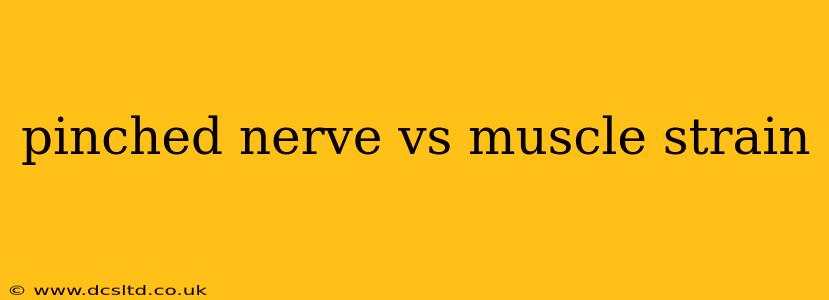 pinched nerve vs muscle strain