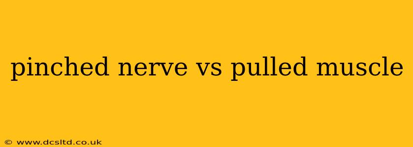 pinched nerve vs pulled muscle