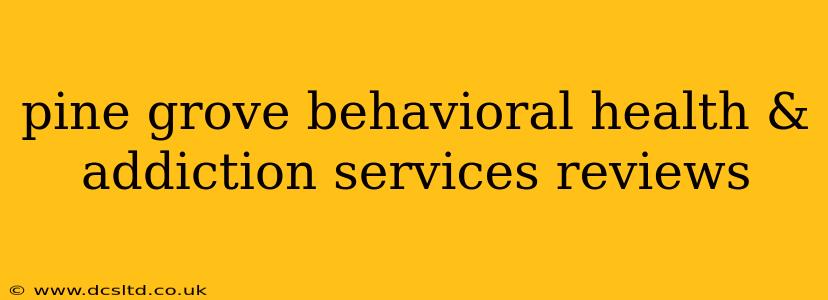 pine grove behavioral health & addiction services reviews