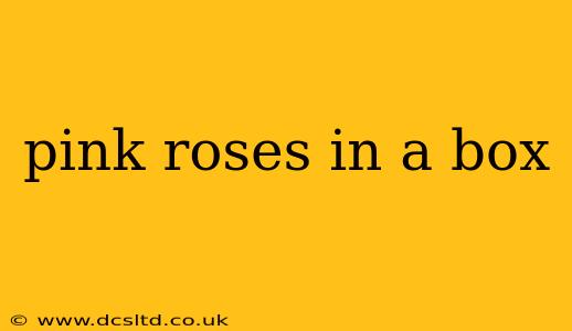 pink roses in a box