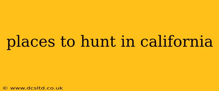 places to hunt in california
