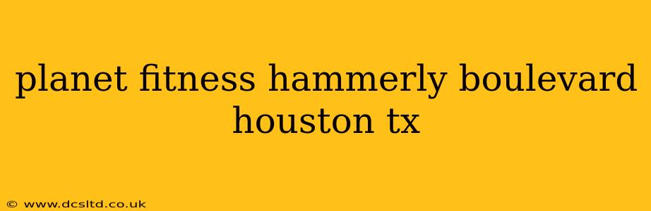 planet fitness hammerly boulevard houston tx