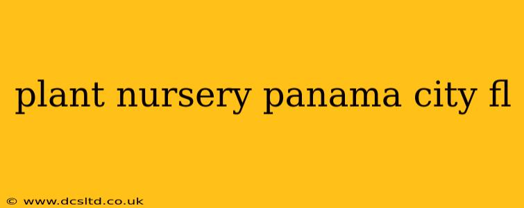 plant nursery panama city fl