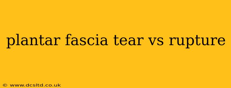 plantar fascia tear vs rupture