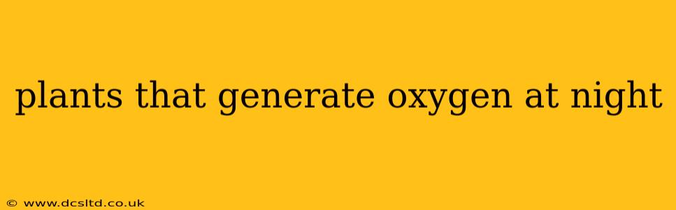 plants that generate oxygen at night
