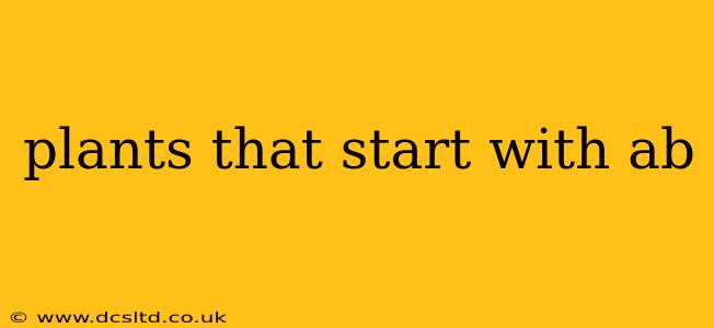 plants that start with ab
