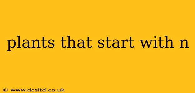 plants that start with n