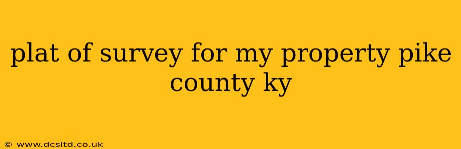 plat of survey for my property pike county ky