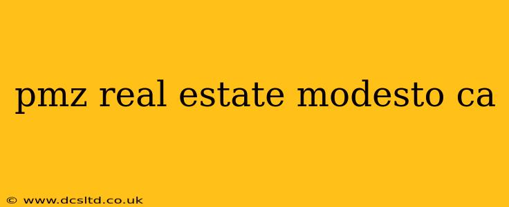 pmz real estate modesto ca