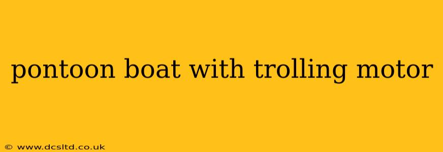 pontoon boat with trolling motor