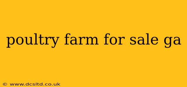 poultry farm for sale ga
