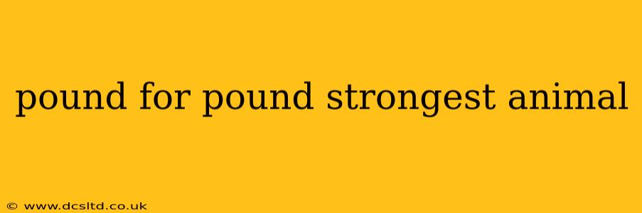 pound for pound strongest animal