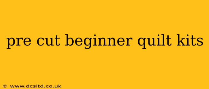 pre cut beginner quilt kits